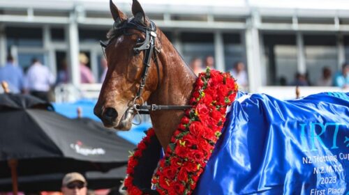 Swayzee-ribbon-NZ-Cup-blog-Nov-23__Resiz