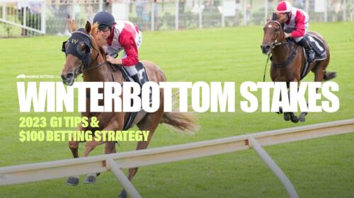 Winterbottom-Stakes-100-23-500x280.jpg