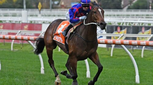 Ayrton-Caulfield-8.5.21-Quentin-Lang-sca