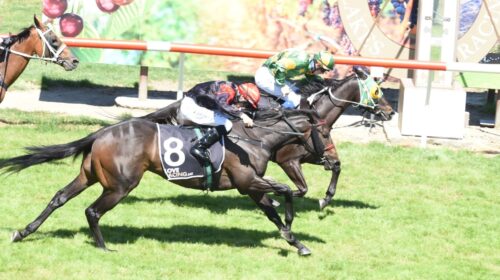 Capo-Dell-Impero-Cromwell-Cup-scaled-1-5