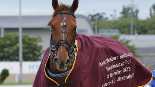 Dream-Of-You-blog-Dec-2023-Alex-Park__Re