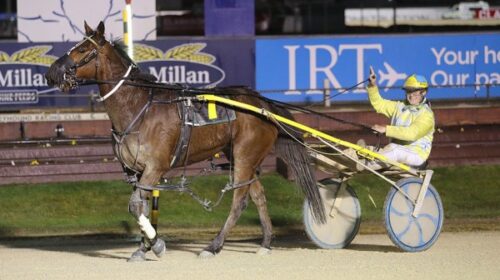 Franco-Norton-Craig-Thornley-salute-post