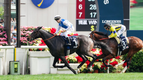 Junko-Hong-Kong-Vase-scaled-1-500x280.jp