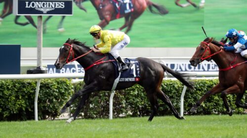 Lucky-Sweynesse-Hong-Kong-Sprint-scaled-