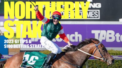 Northerly-Stakes-100-23-500x280.jpg