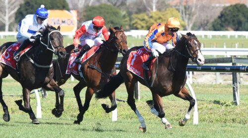 TOKYO-TYCOON-HBI-9-9-2023-RACE-IMAGES-PH