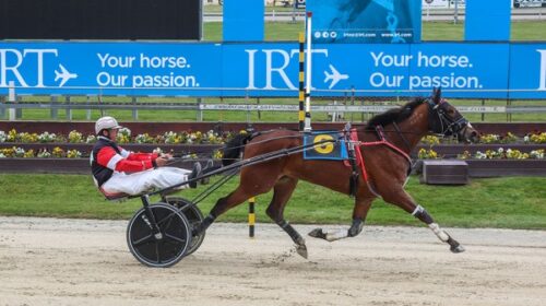 Tyron-Eros-blog-GP-day-addington-dec-23_