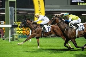 Golden Cannon shoots Lui to 600 wins
