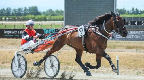 Aldebaran-Floss-blog-action-Ashburton-ja