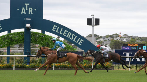 Crocetti-Almanzor-Trophy-scaled-1-500x28