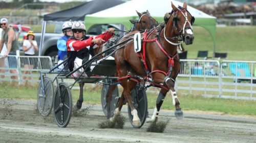 Dalton-Shard-blog-nelson-jan-2024__Resiz