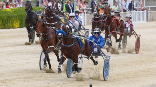 Dont-Stop-Dreaming-blog-Addington-Cup-Da