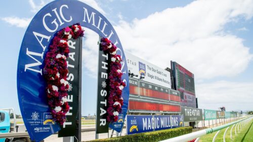 Magic-Millions-500x280.jpeg