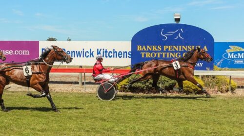 Majestic-Sunday-blog-Mot-Jan-2024__Resiz