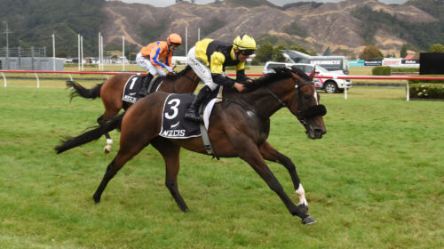 Mary-Louise-Wellington-Cup-scaled-1-500x