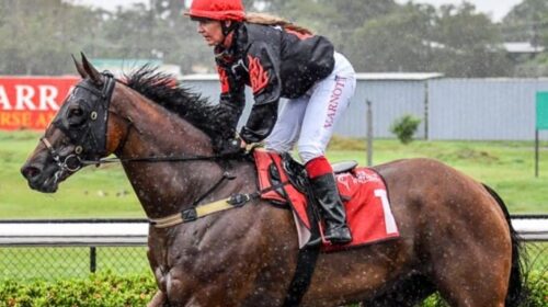 Noir-De-Rue-Australia-Day-2024-500x280.j