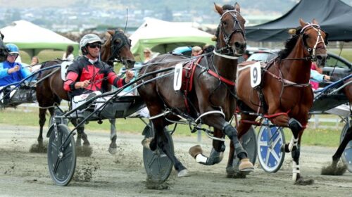 Ooga-Chakan-action-shot-blog-nelson-jan-