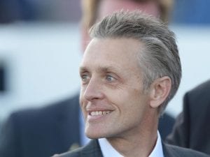 Burning Passion to fire in Carrington Stks