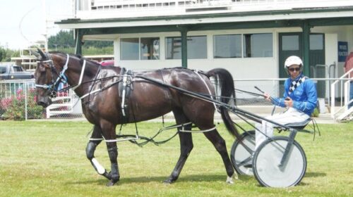 Riverton-course-blog-Itoje-N-Williamson_