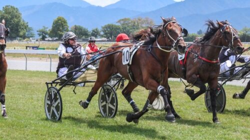 Sods-Law-Geddes-Blenheim-jan-2024-blog__