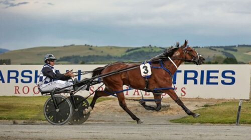 Tim-Williams-800th-win-Aardie-B-Miki-blo