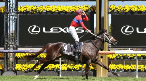 Verry-Elleegant-Melbourne-Cup-James-McDo