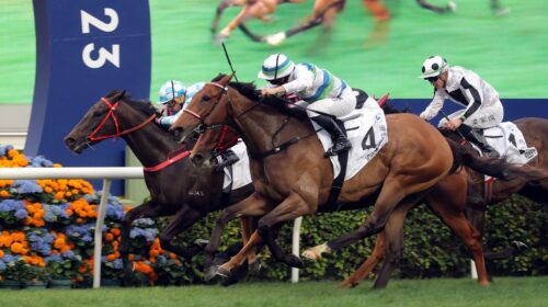 Voyage-Bubble-HK-Derby-scaled-1-500x280.