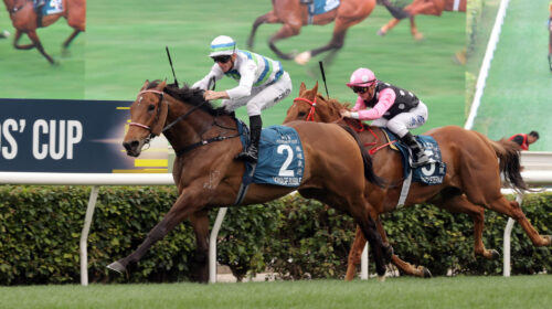 Voyage-Bubble-Stewards-Cup-scaled-1-500x