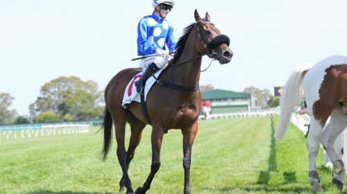 Wrote-To-Arataki-Geoffrey-Bellmaine-500x