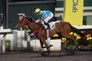 Shum & Purton pair for Sha Tin racing double