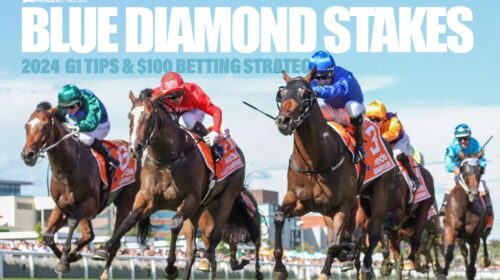 2024-Blue-Diamond-Stakes-Preview-500x280