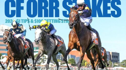 2024-CF-Orr-Stakes-Preview-500x280.jpeg