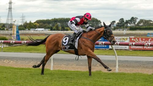 Aberlour-Southland-Guineas-500x280.jpeg