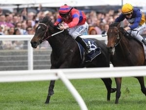 Verry Elleegant out of Australian Guineas