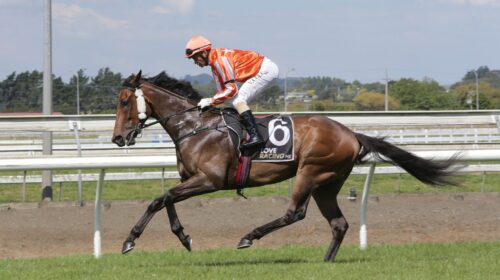 Desert-Lightning-prelim-26.12.22-TD-scal