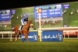 Bouresly’s Treasured Times Tops Competitive Abu Dhabi Feature
