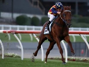 Nature Strip to clash with She Will Reign at Warwick Farm