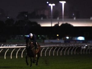 All in order for Winx return