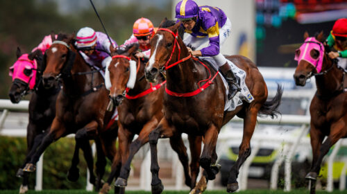 Helios-Express-Hong-Kong-Classic-Mile-sc