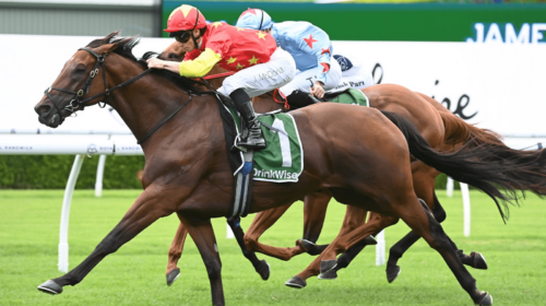 King-Of-Sparta-Expressway-Stakes-500x280