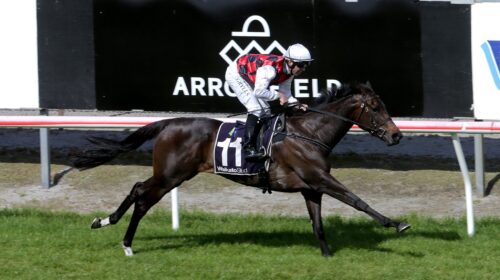 La-Crique-G1-Arrowfield-Plate-at-Matamat