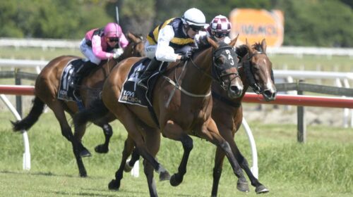 Mark-Twain-Hawkes-Bay-10.2.23-RI-500x280