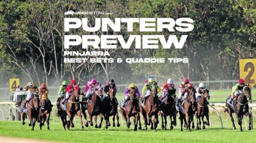 Pinjarra-Preview-1-500x280.jpeg