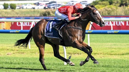 Revolutionary-Miss-Mannerism-Stakes-500x