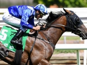 Rimraam tackles new Sydney Group One race