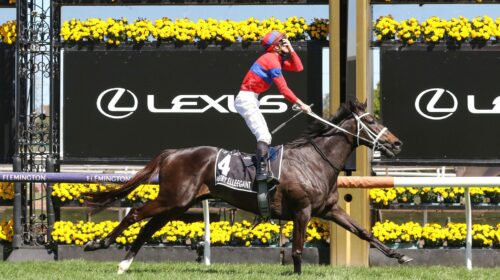 Verry-Elleegant-Melbourne-Cup-James-McDo