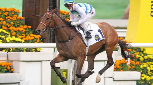 Voyage-Bubble-Zac-Purton-scaled-1-500x28