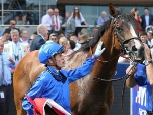 Australian Cup