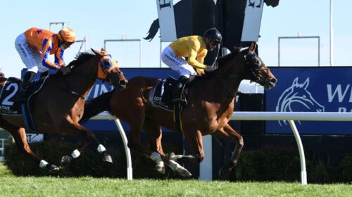 CALLSIGN-MAV-WINDSOR-PARK-PLATE-HAWKES-B