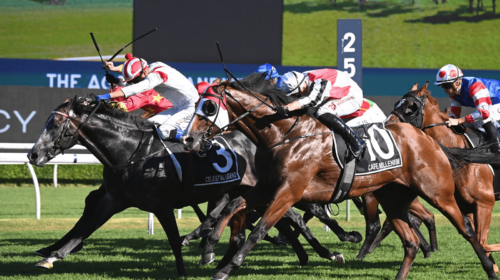 Celestial-Legend-Randwick-Guineas-500x28
